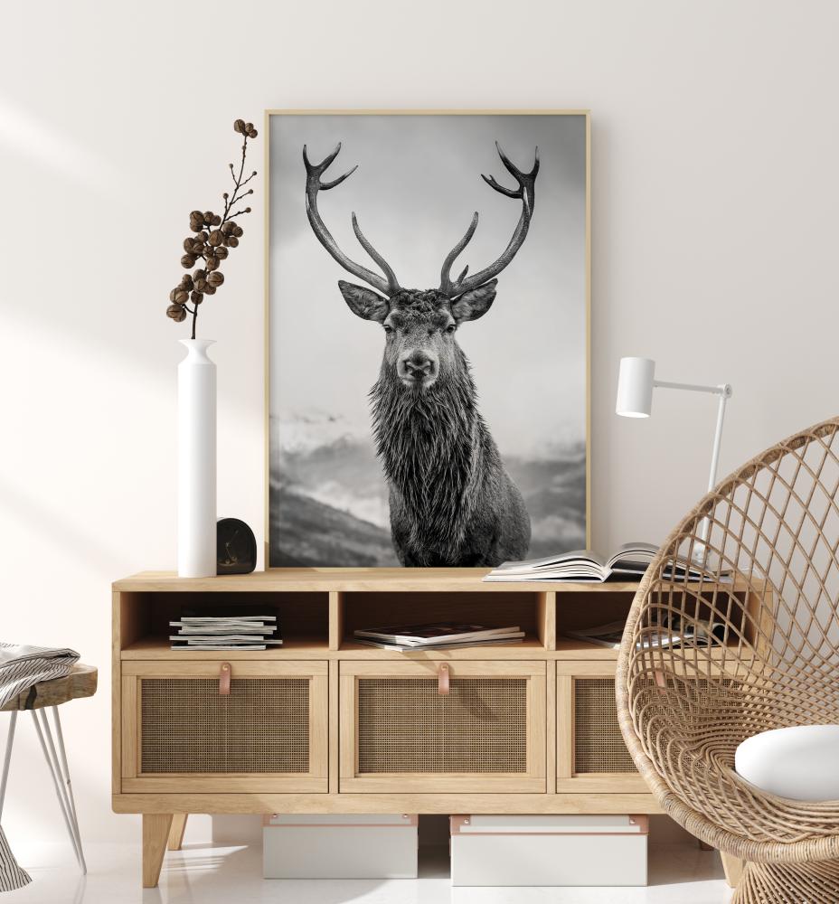 Curious Deer Juliste