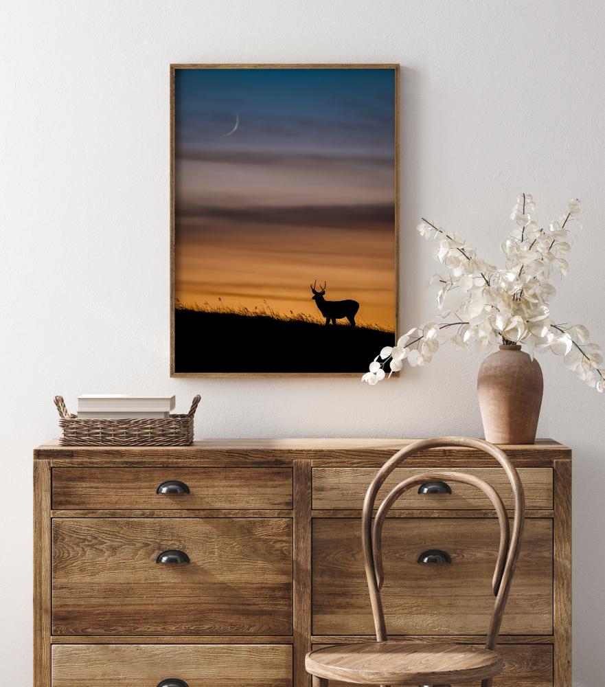 Deer In Sunset Juliste