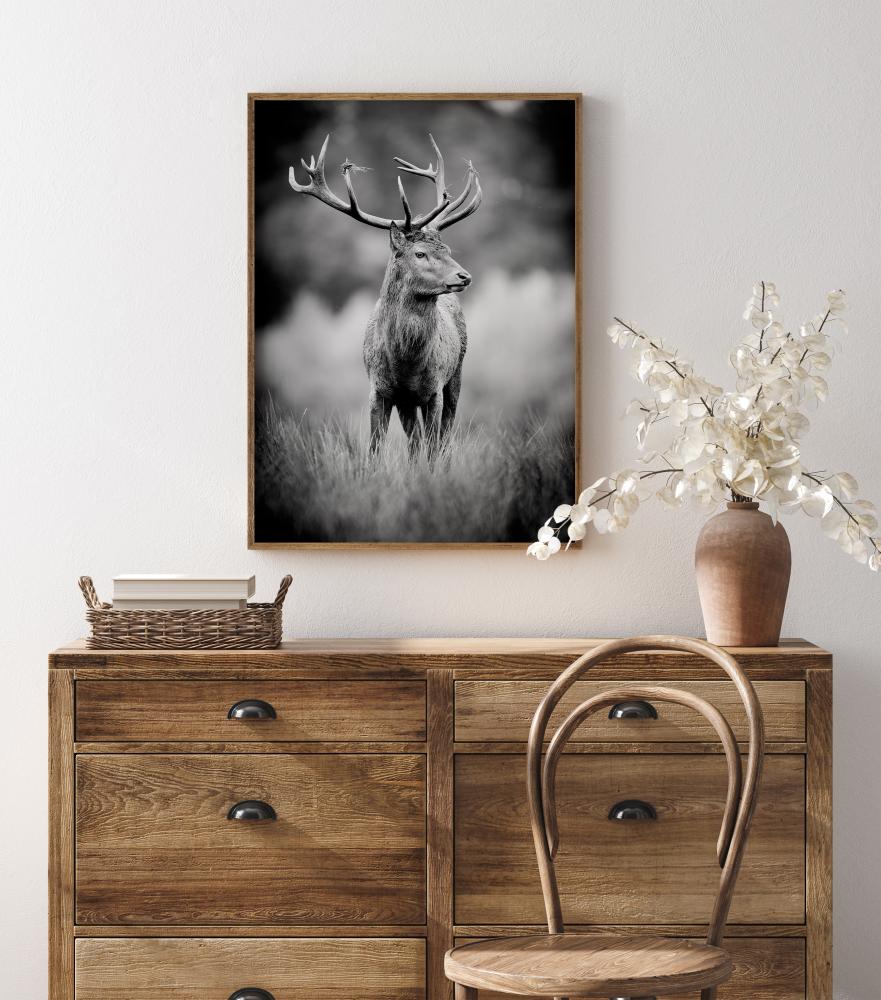 Deer With Horns Juliste