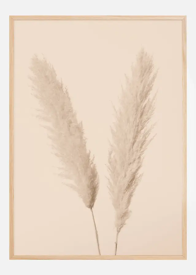 Pampas Grass I Juliste