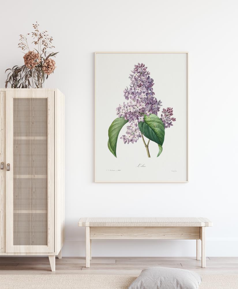 Lilac Flower Juliste