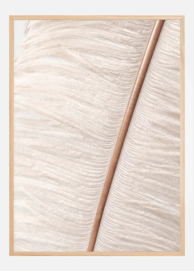 Feather II Juliste