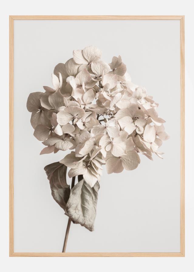 Beige Dried Flower Juliste