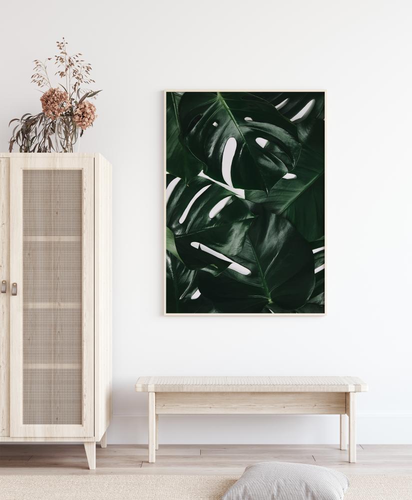 Monstera Plant I Juliste