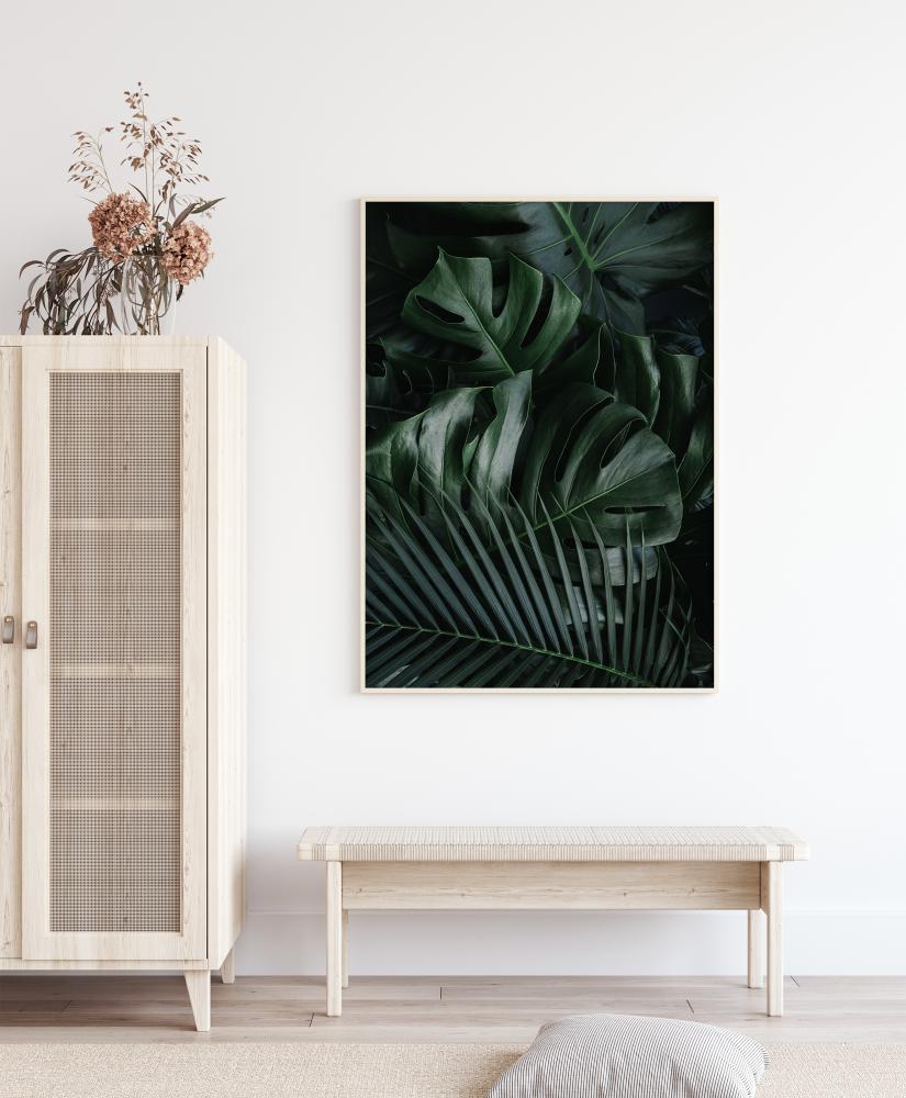 Monstera Plant II Juliste