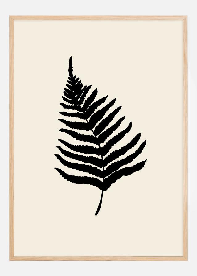 Fern Juliste