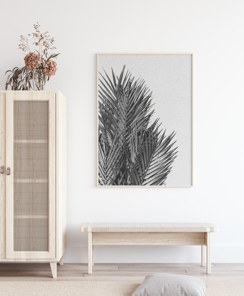 Palm Leaves Juliste