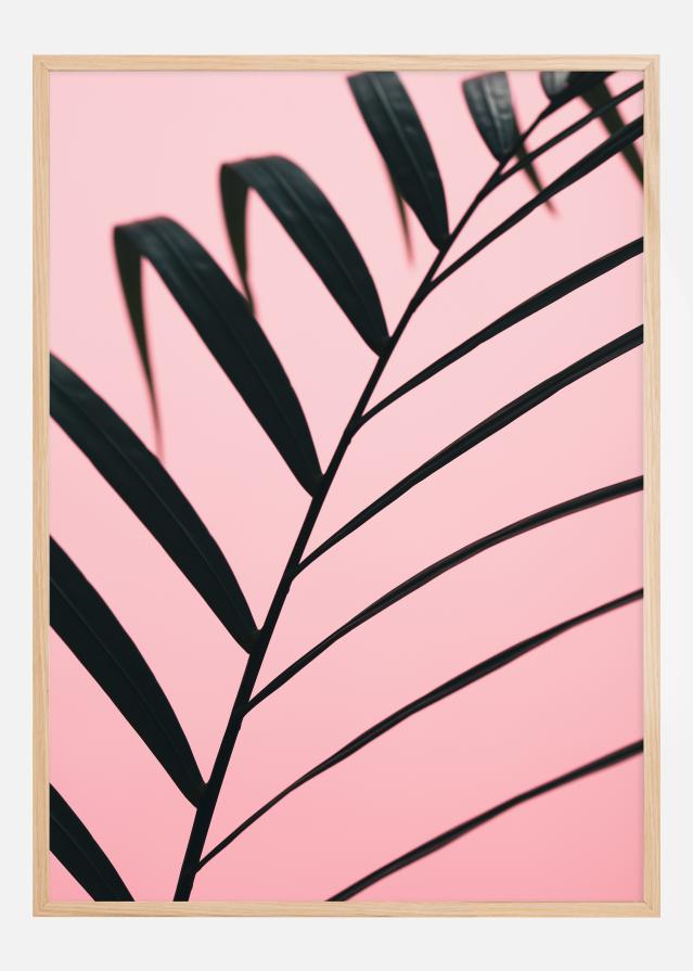 Graphic palm leaf Juliste