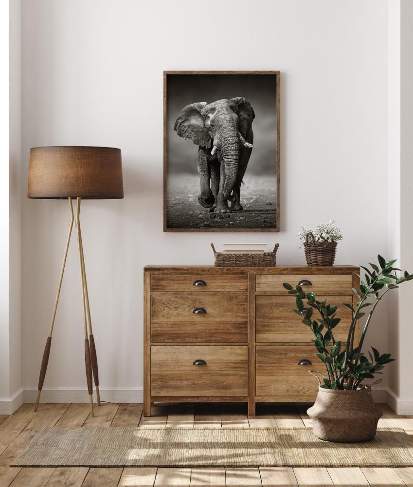 Walking Elephant Juliste