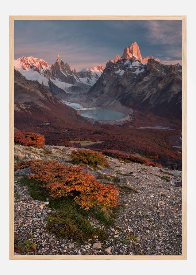 Patagonia Is My Love. Juliste