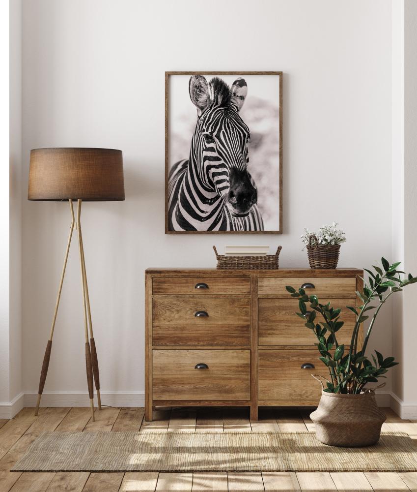 Zebra Juliste