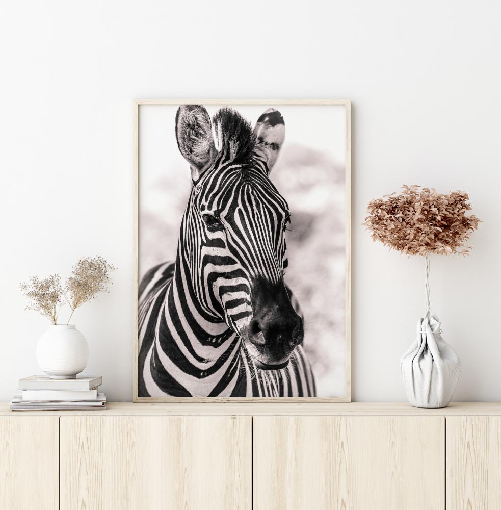 Zebra Juliste