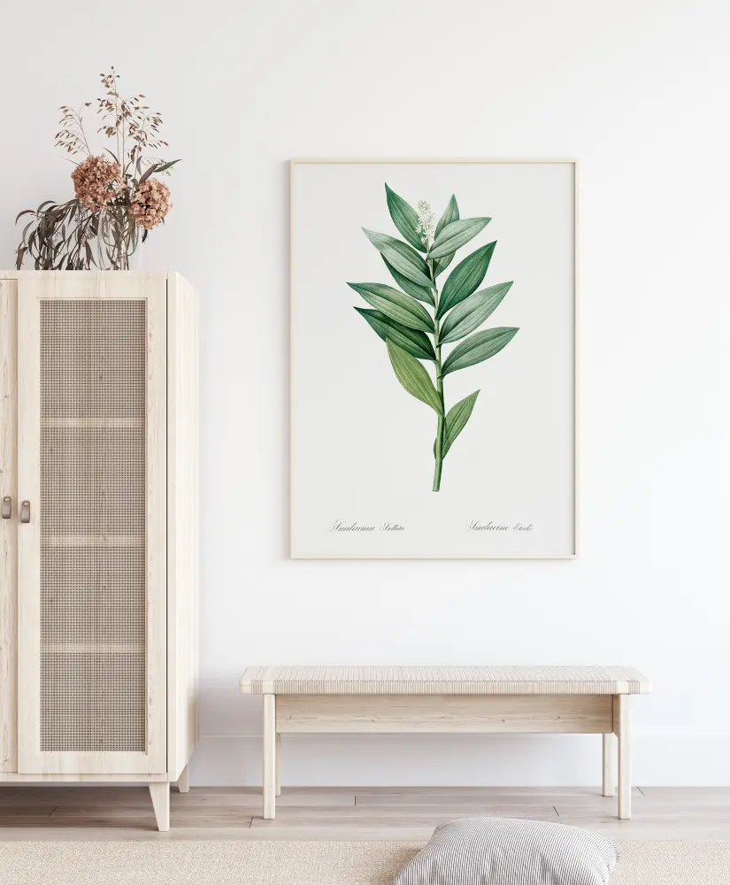 Smilacina Stellata Juliste