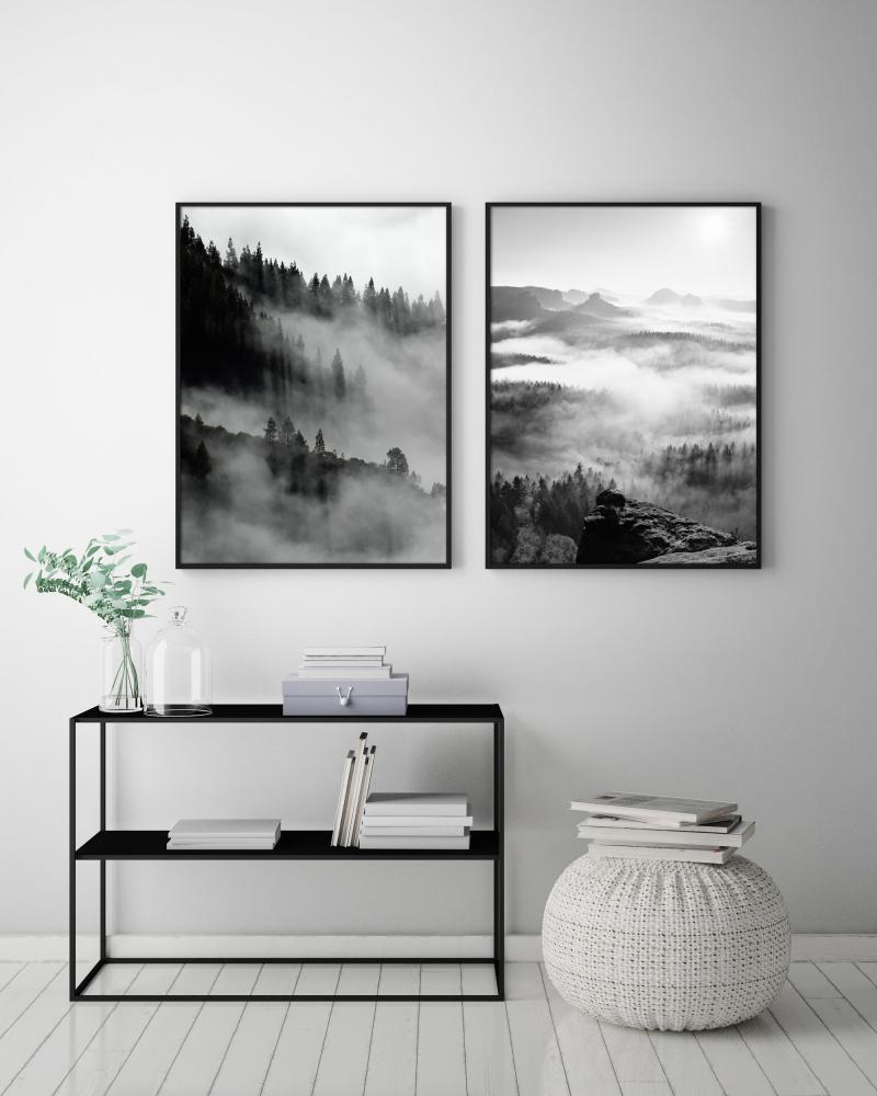 Foggy Forest Black & White I - 50x70 cm Juliste