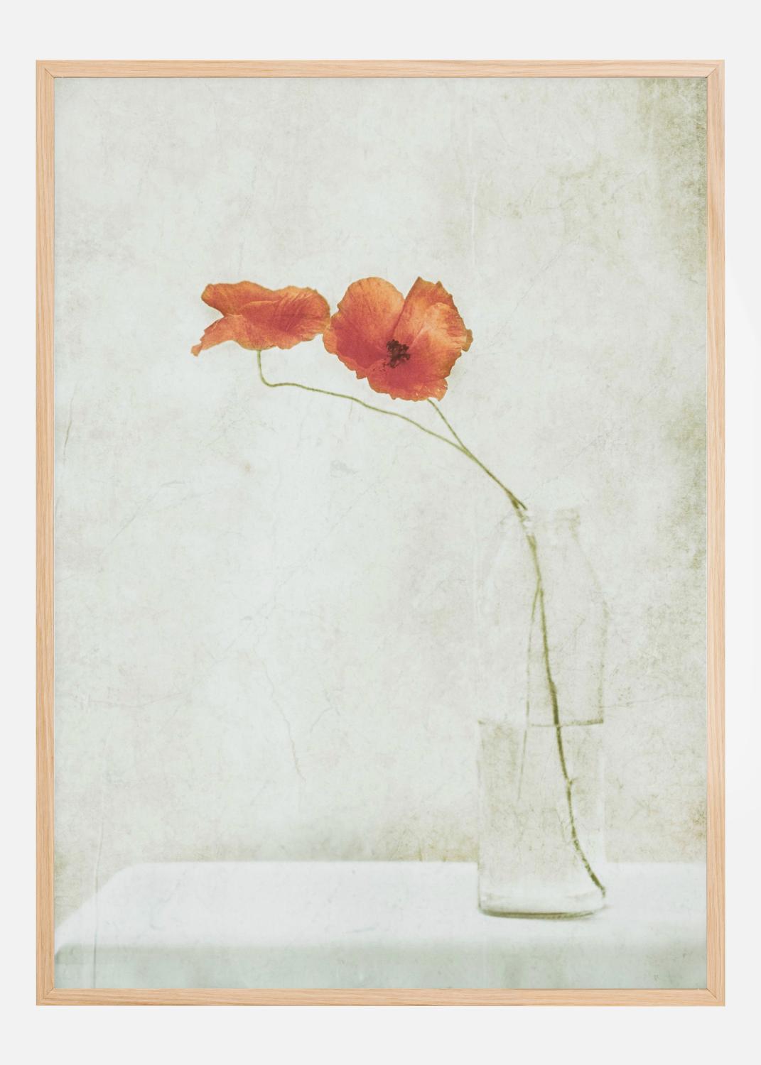 Product Image for Two Poppies In A Bottle Juliste (30x40 cm)