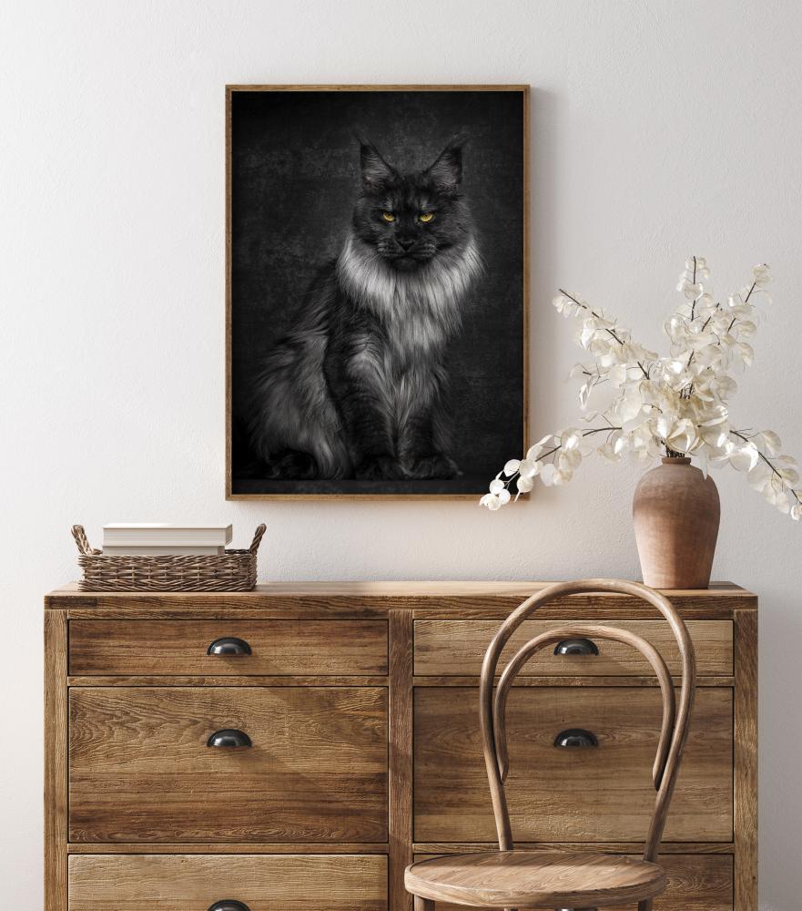 Maincoon Juliste