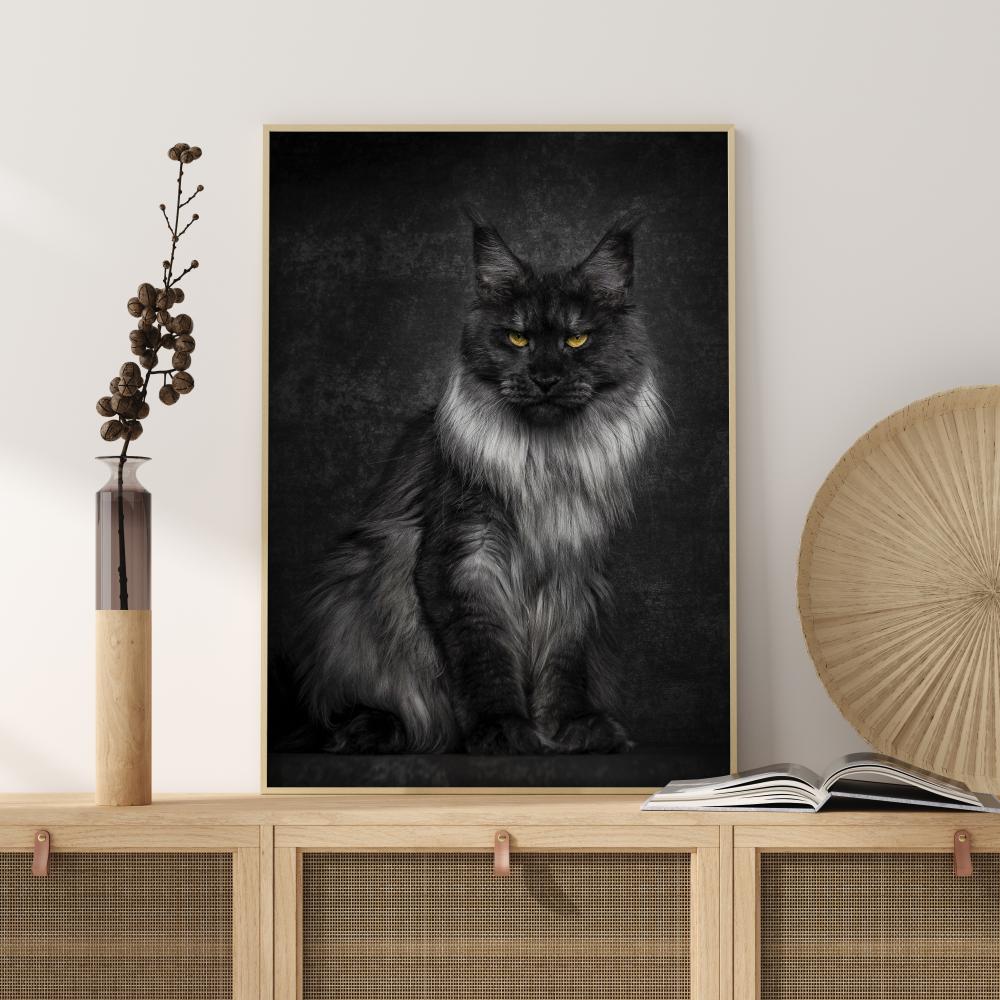 Maincoon Juliste