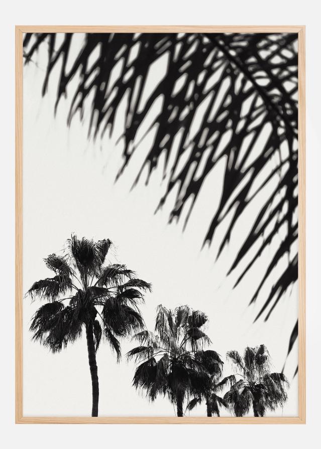 Palm 006 Juliste