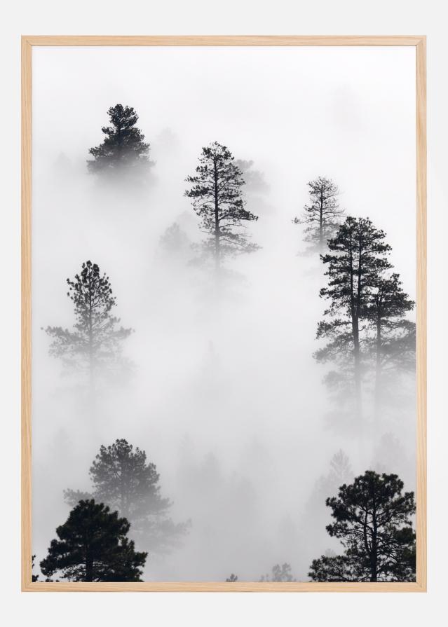 Fogy Forest Juliste