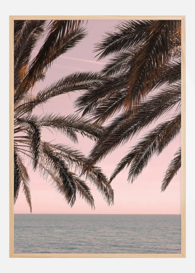 Palm Beach III Juliste