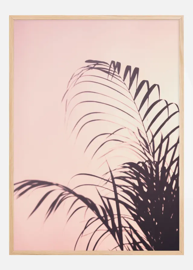 Palm Leaves I Juliste