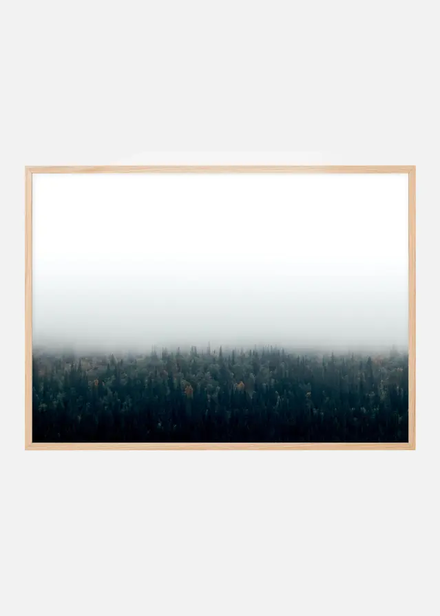 Forests in fog Juliste