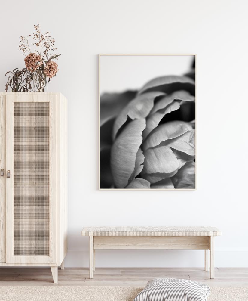 Peony B&W Juliste