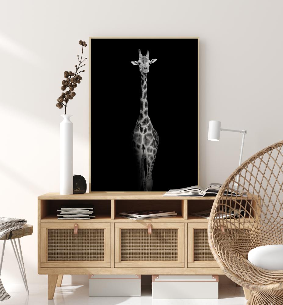 Stunning giraffe Juliste