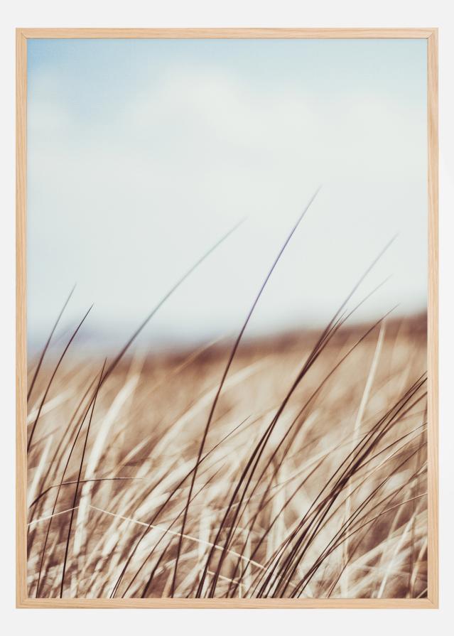 Dreamy Grass Juliste