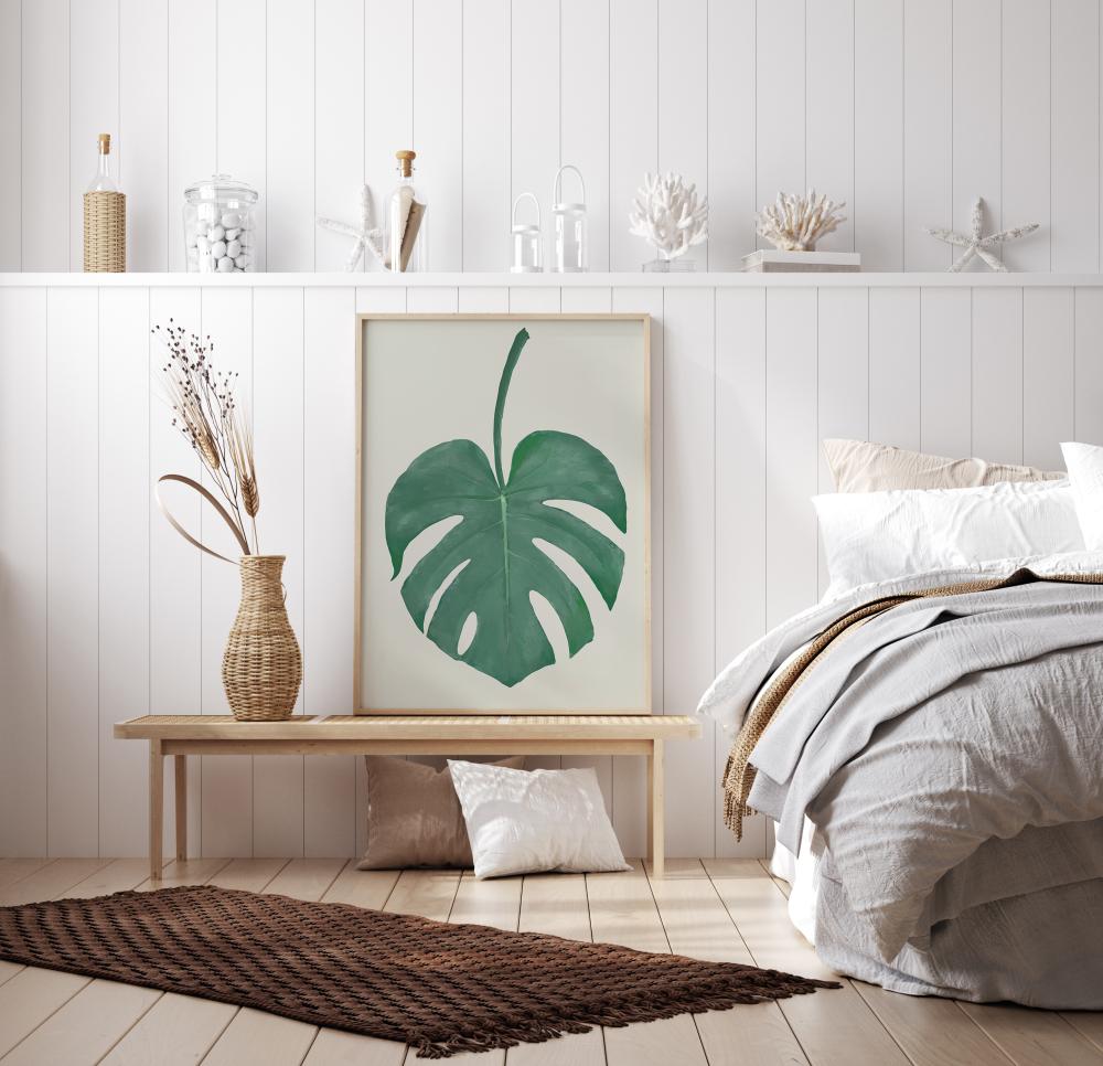 Monstera Aqua Juliste