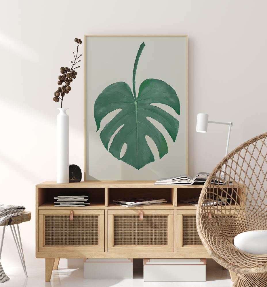 Monstera Aqua Juliste