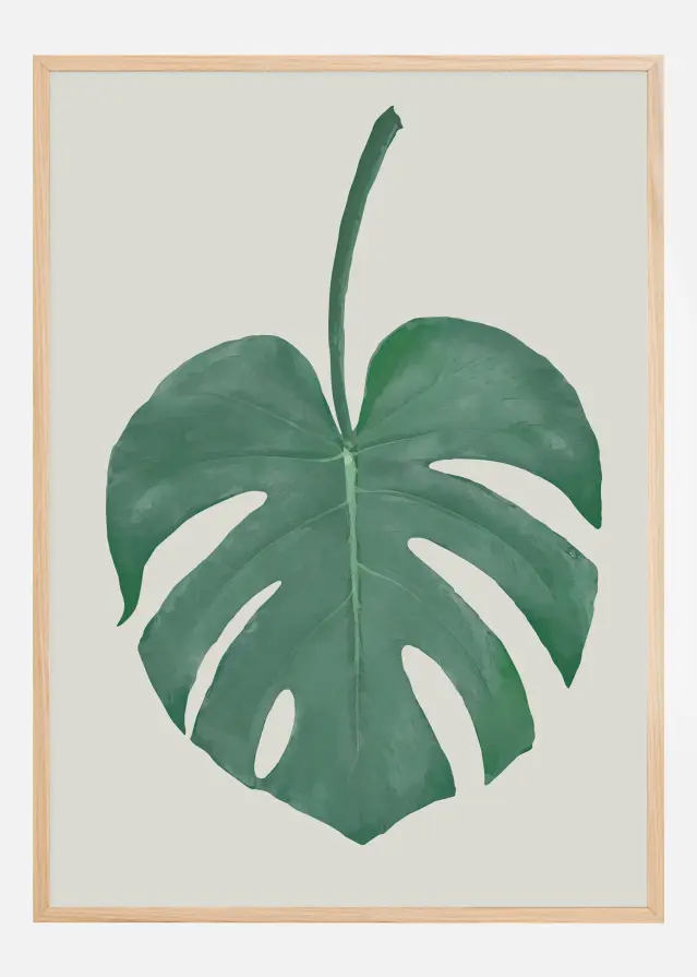 Monstera Aqua Juliste