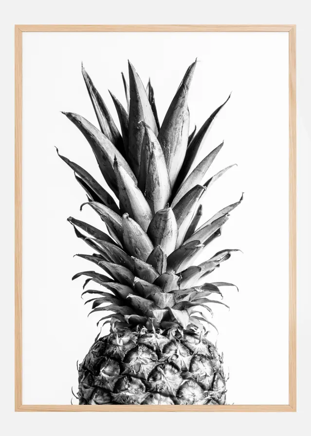 Pineapple Bw Juliste