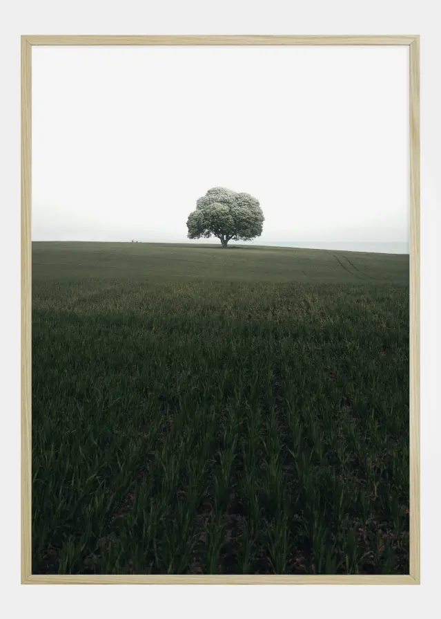 The lonely oak tree Juliste