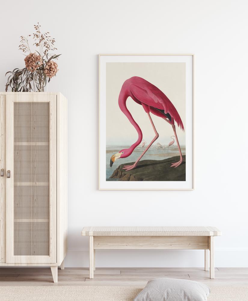 American Flamingo Juliste