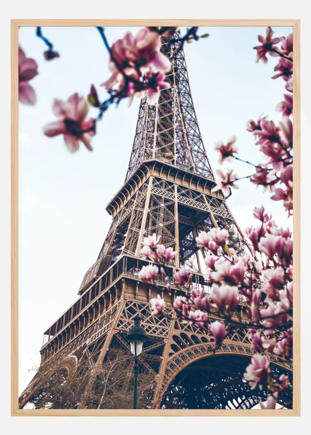 Eiffel Tower Blossoms Juliste