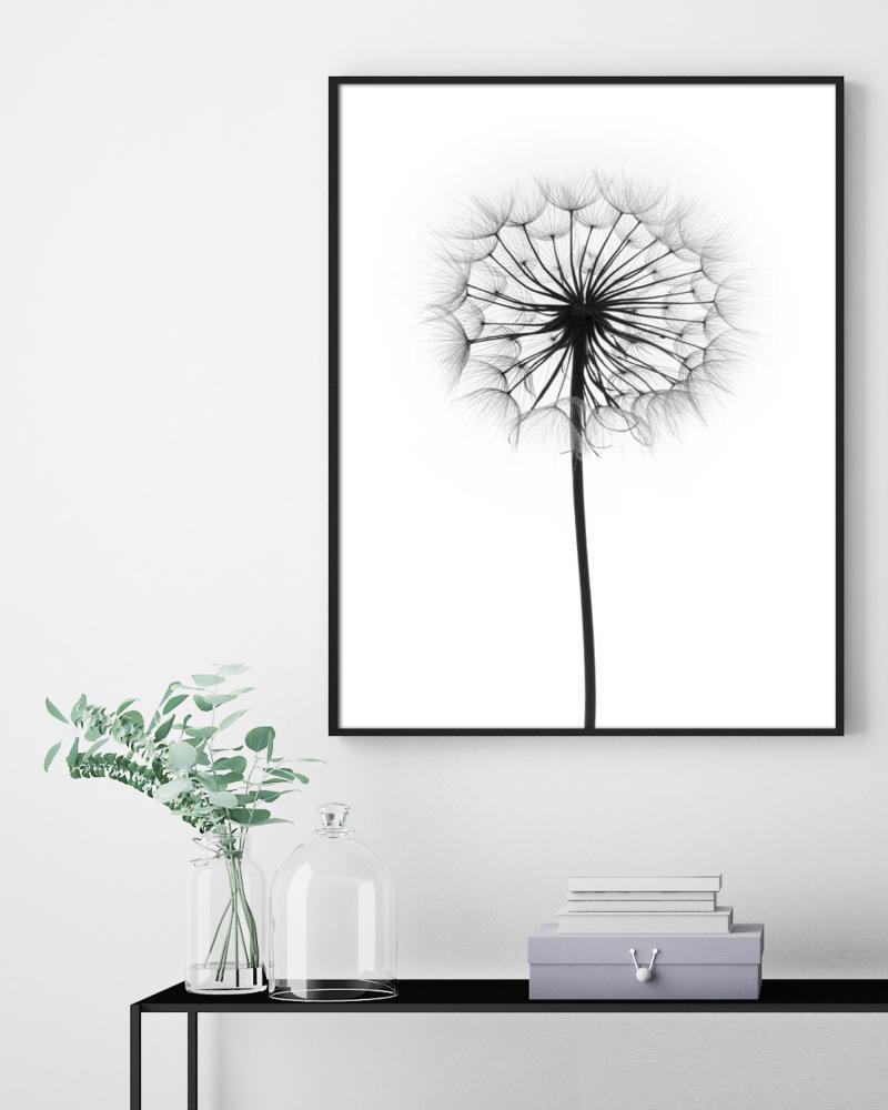 Dandelion Juliste