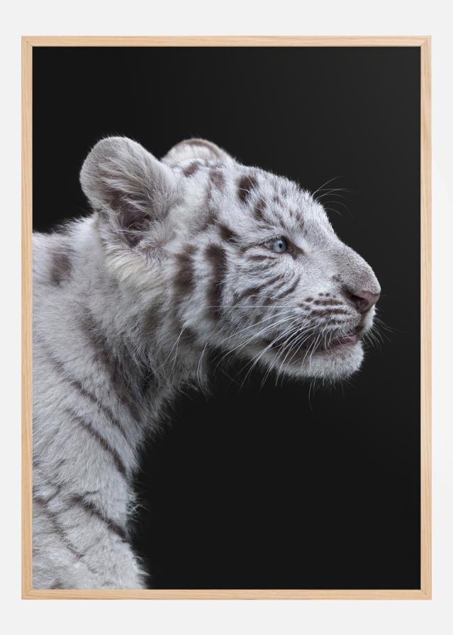 White tiger Juliste