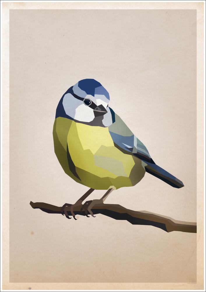 Blue tit Juliste