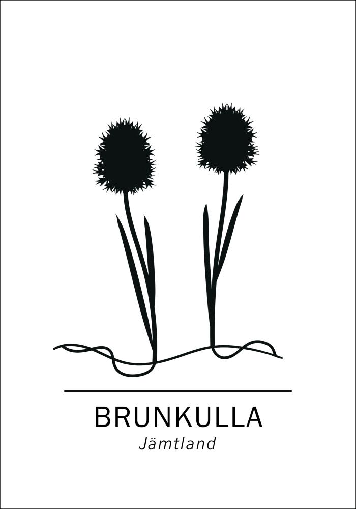 Brunkulla - Jämtland Juliste