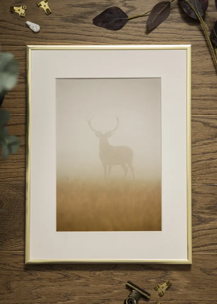 Kehys Poster Frame Aluminum Gold 18x24 cm