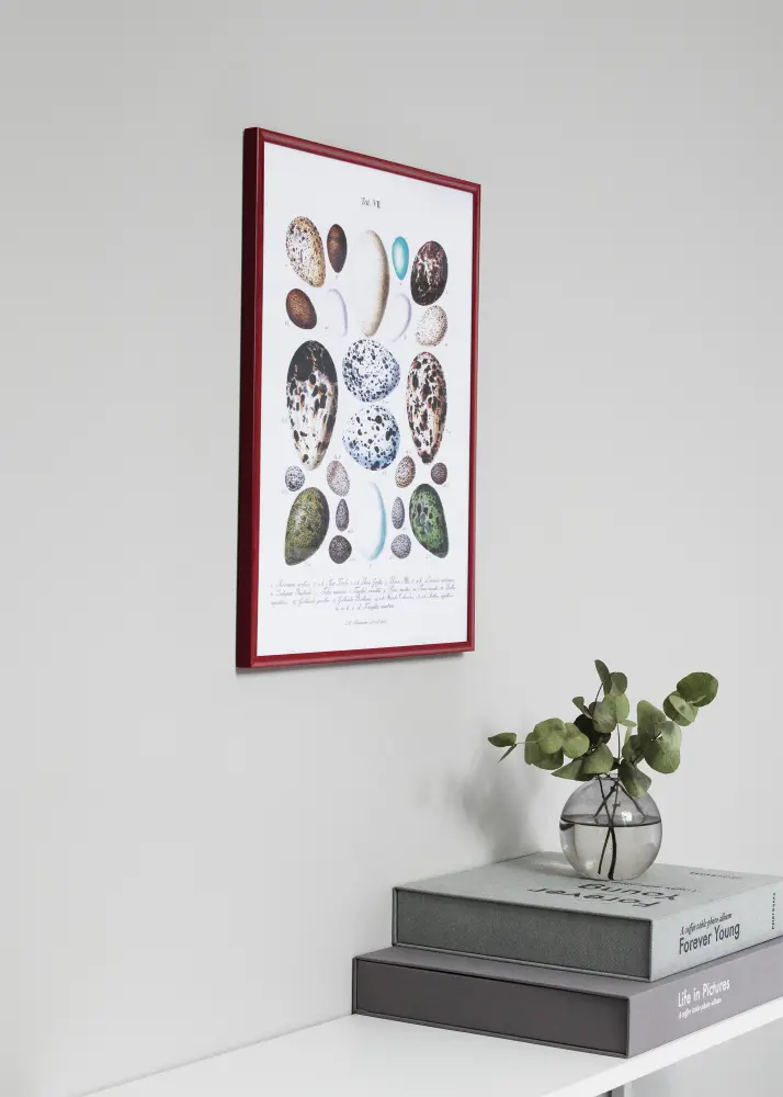 Kehys New Lifestyle Punainen 30x40 cm