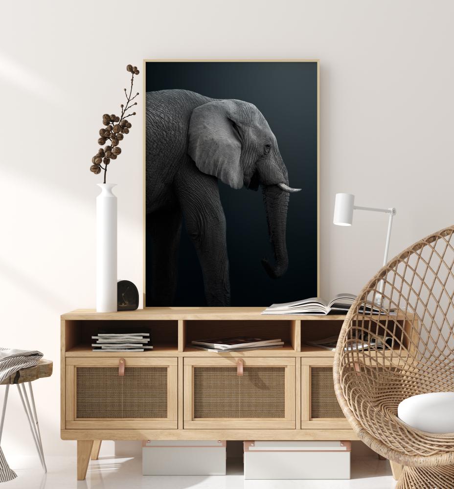 Namibian Elephant Juliste