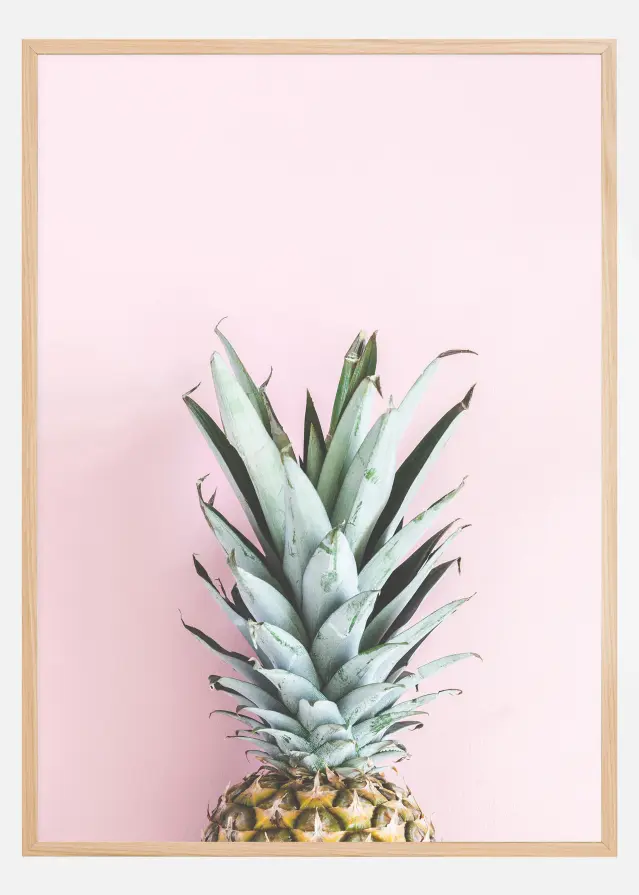 Pineapple Pink Juliste