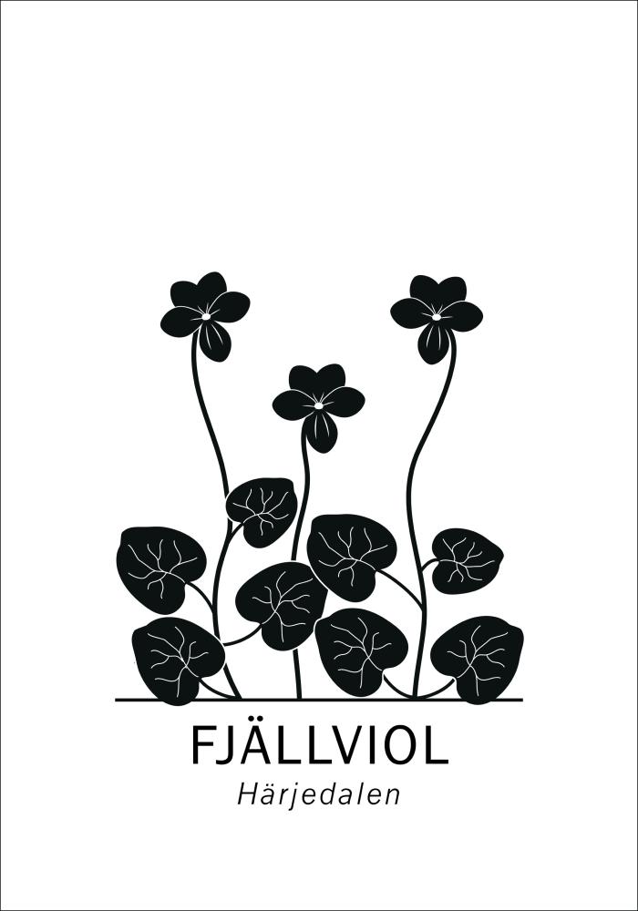 Fjällviol - Härjedalen Juliste