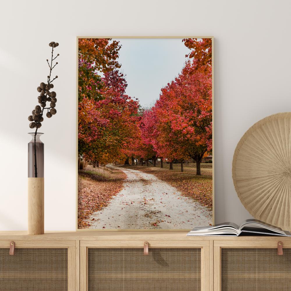 Autum Road Juliste