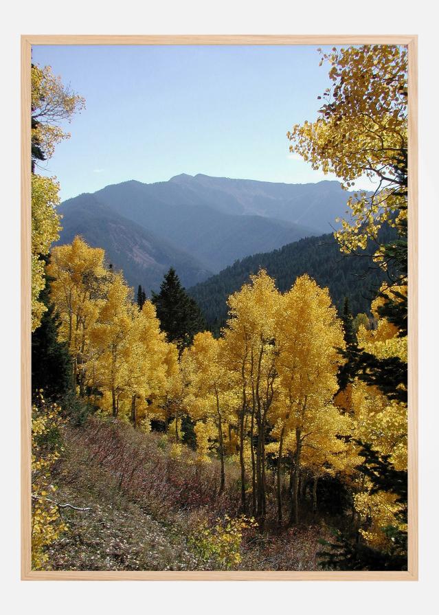 Yellow Trees Juliste