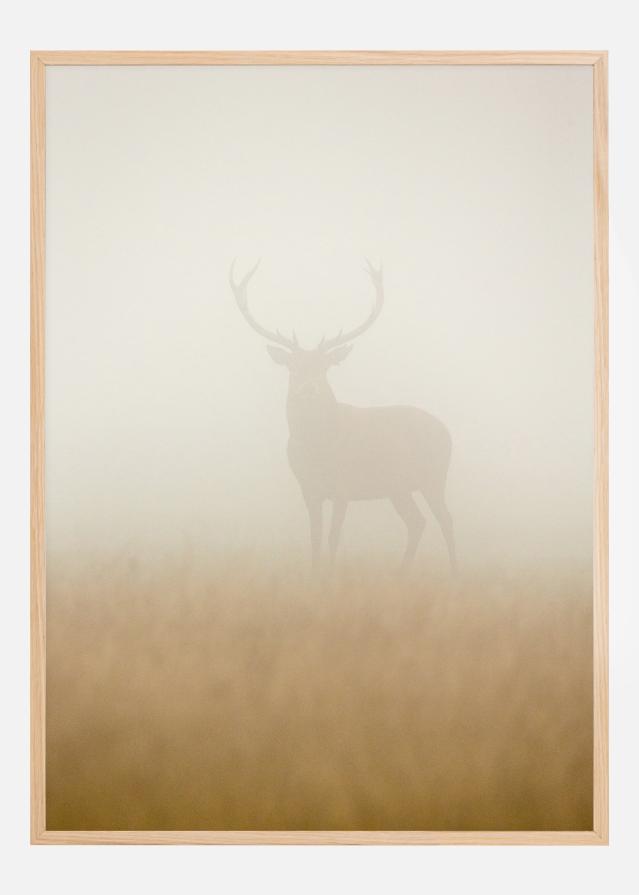 Ghost Stag Juliste