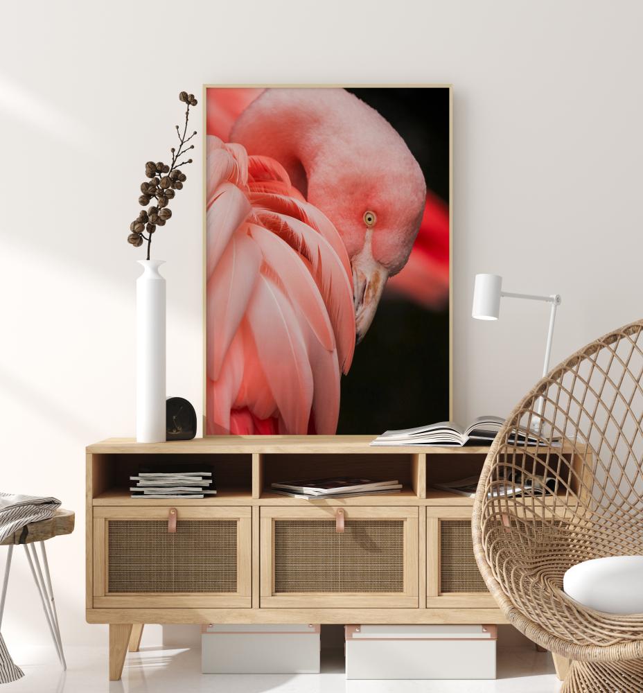 Flamingo Juliste