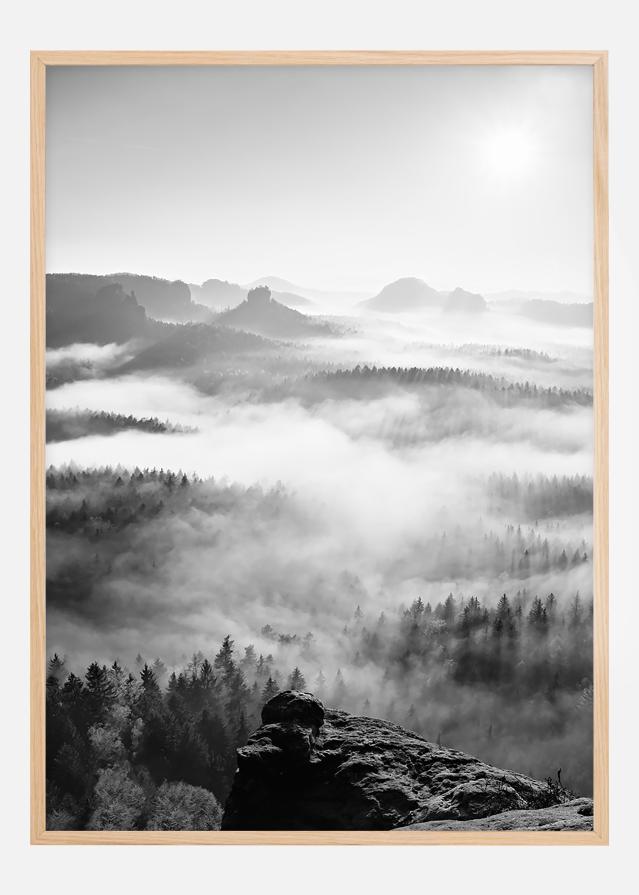 Foggy Forest Black & White I - 50x70 cm Juliste